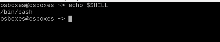 خروجی متغیر SHELL