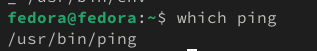 خروجی which ping